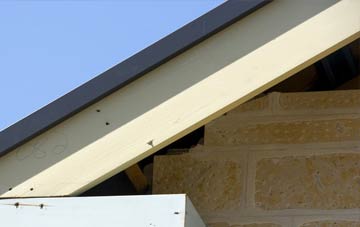 Pwll fascia repairs
