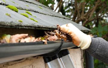 gutter cleaning Pwll