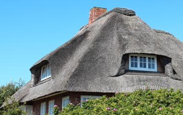 thatch roofing Pwll