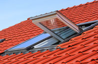 Pwll roof window
