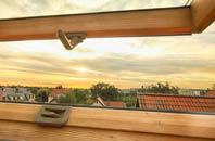 rated Pwll roof window companies